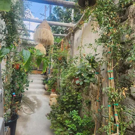 Tina's Art - Venetian Walls District * Lefkoşa