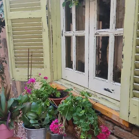 Tina's Art - Venetian Walls District *